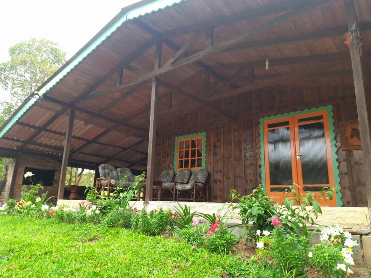 Sitio Recanto Da Guarda - Cabana Araucaria 邦雷蒂鲁 外观 照片